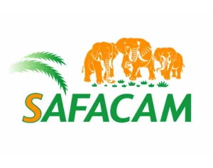 Logo_safacam